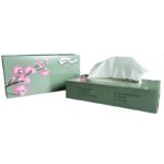 40 boîtes de 100 mouchoirs