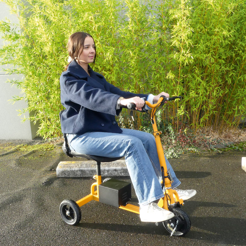 Mini scooter ID Loisir – Image 2